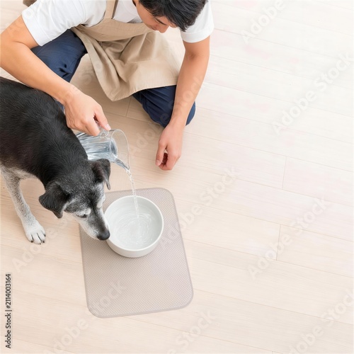 老犬の飲み水を確認して記録するペットシッターの手元