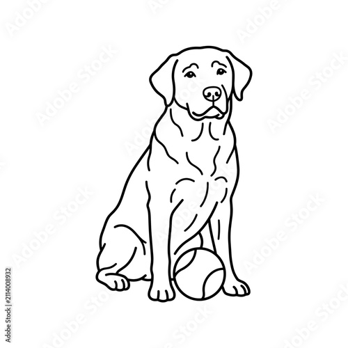 Black Labrador Dog Sitting with Ball Simple Line Art