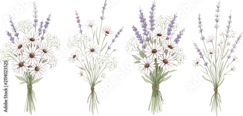 Bild auf Leinwand Elegant Wildflower Bouquet Vector Illustration Set with Lavender Chamomile and G