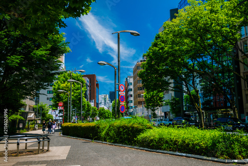 Plakat 【東京】渋谷の街並み 2026