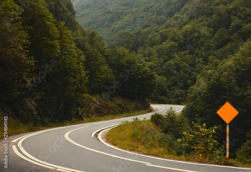 Winding mountain road throu...