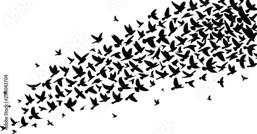 Flock of Birds in Flight: A dynamic and artistic composition of numerous black silhouettes of birds taking flight, creating a sense of movement and freedom.