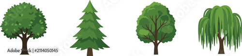 Bild auf Leinwand Tree vector illustration set showing deciduous, coniferous, broadleaf, and willo