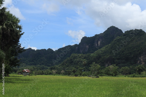 Foto Beautiful scenic view of lush green rice terraces and majestic mountains in Indo