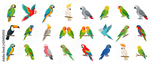 Collection of Colorful Exotic Birds on Branches