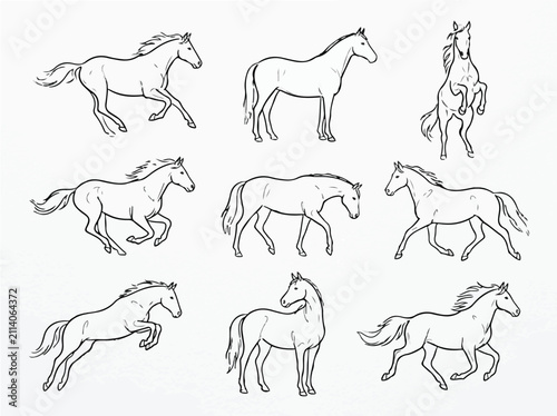 Hand-drawn horse sketches collection featuring various equine poses including running, jumping, and standing. Minimalist line art vector.
