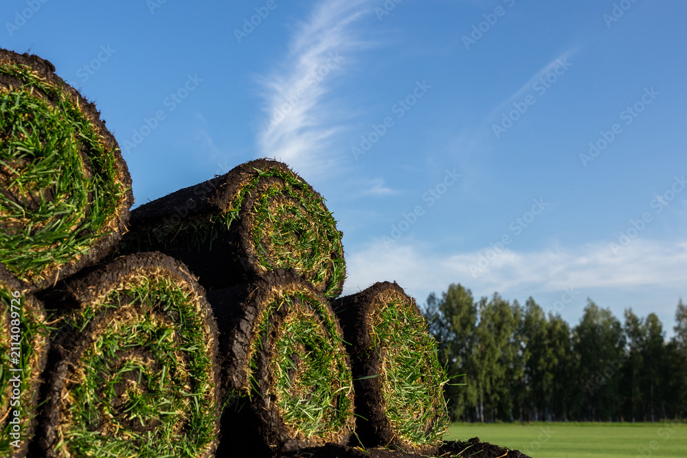 Obraz premium Pallets of rolled sod turf stacked in agricultural field with clouds in blue sky