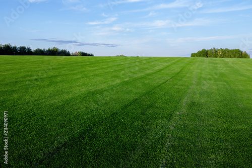 Mowed green turf field with visible mowing lines under blue sky and tree line