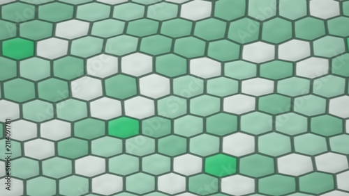 Cuadro en lienzo Hexagonal Pattern with Green and White Cells