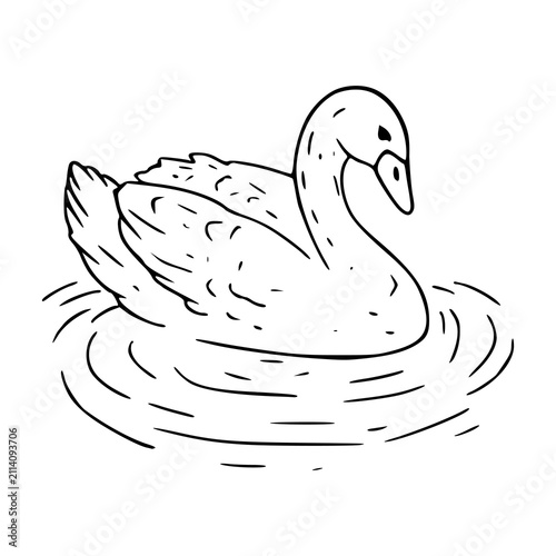 graceful swan swimming on water hand drawn line art vector illustration