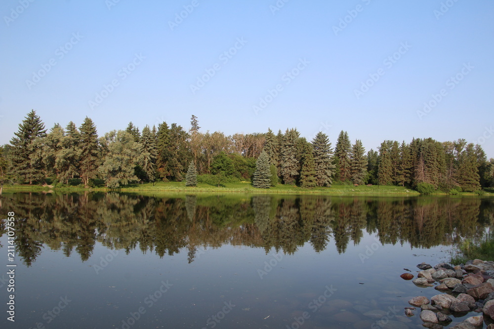 Fototapeta premium reflection of trees in the lake, William Hawrelak Park, Edmonton, Alberta
