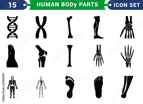 Konstfotografi Human Anatomy & Medical Icons Set – DNA, Chromosome, Bones, Skeleton, Foot, Hand