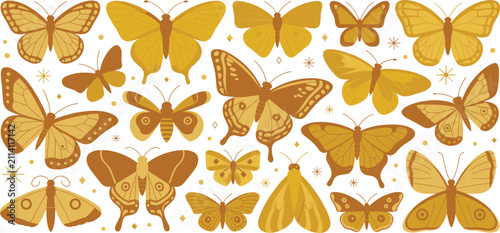 Cuadro en lienzo Golden Butterfly and Moth Collection with Elegant Hand Drawn Insects, Decorative