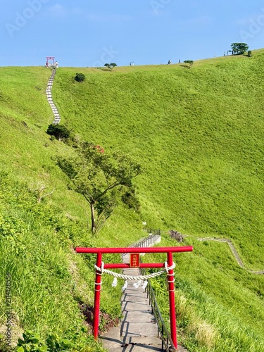 фотографія Red Torii gate and stone path on the grassy slope of Mount Omuro crater, Sengen