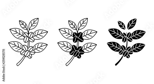 Coffee Branch Icons, Black and White Bean Sprigs, Organic Plant Vector Graphics