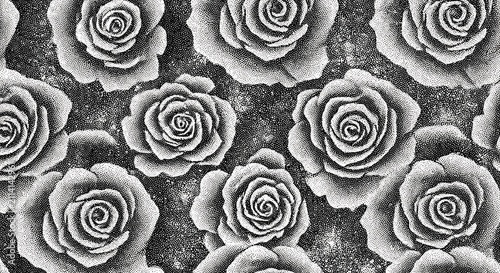 Echoes of Petals