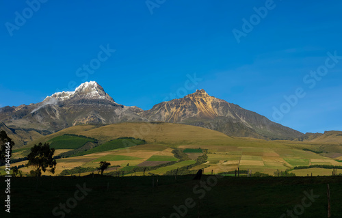 Stunning Snow-Capped Illinizas and Divided Pastures in the Andes