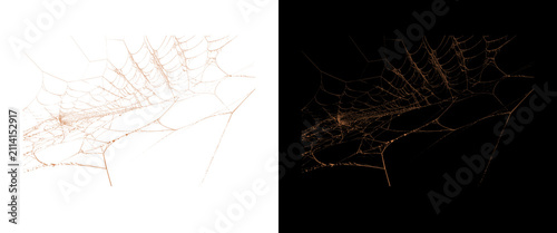 Принти на полотні Intricate spider web texture on white and black background, delicate cobweb patt