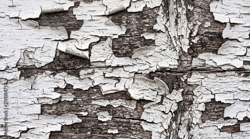 White paint peeling and curling away from old weathered timber boards