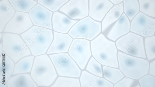 Bild auf Leinwand Abstract cellular structure with nuclei