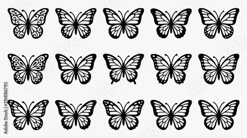 Black and White Butterfly Collection Display.