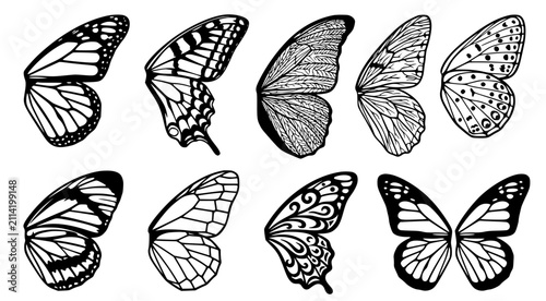 Bild auf Leinwand Collection of detailed butterfly wings in various patterns and shapes for insect