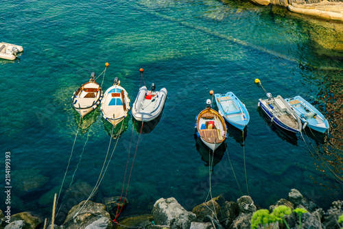 Cuadro en lienzo Riomaggiore, Cinque Terre - boats