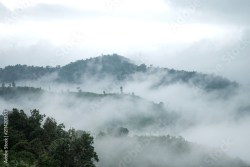 Photography Landscape high mountains peak with mist and foggy cloud on valley hill with gree