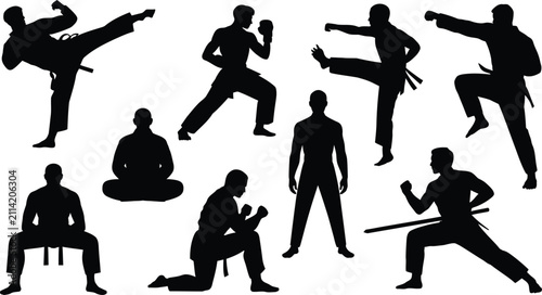 Fotografie Martial arts silhouettes of fighters performing kicks punches stances meditation