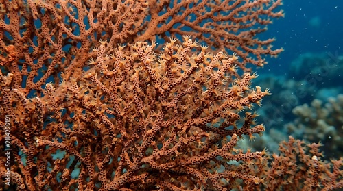 Orange coral reef underwater. Vibrant marine life in the deep blue ocean ecosystem.
