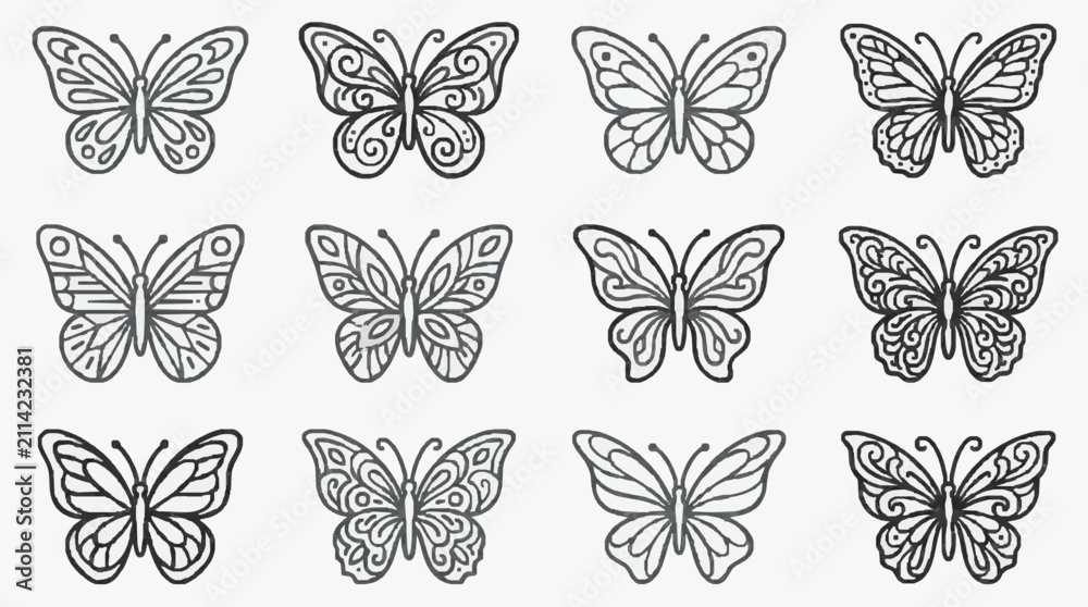Fototapeta premium Elegant Butterfly Patterns Collection.