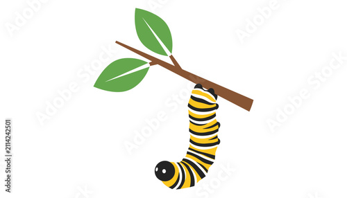 Caterpillar larva hanging from a branch with green leaves symbolizing the early stages of life development and insect metamorphosis nature.