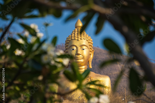 Golden Buddha Statue Serenity: A serene golden Buddha statue, partially veiled by blooming frangipani branches and soft focus foliage, offers a moment of tranquil reflection.