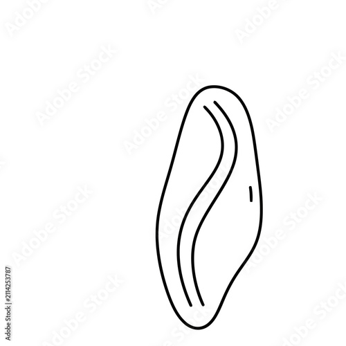 Abstract organic shape with curved lines