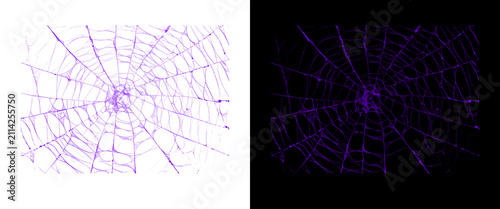Purple spider web texture on white and black backgrounds, spooky cobweb design elements, neon violet spiderweb pattern for Halloween decor