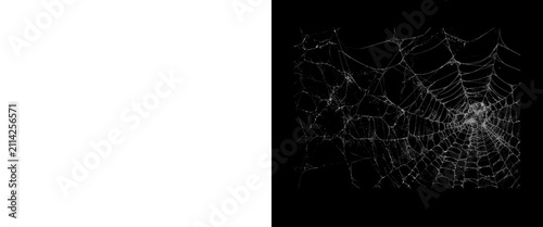 Foto Intricate spider web on black background, white cobweb texture with dew drops, s