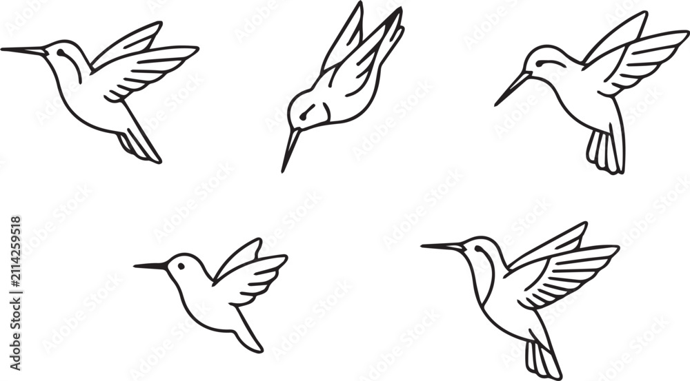 Fototapeta premium Flying Hummingbird Set Line Art Vector Icon