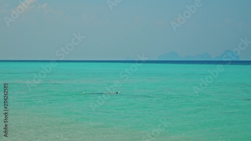 Person snorkeling in turquoise water, tropical ocean horizon background, clear blue sky and distant islands, summer vacation leisure activity, travel documentary.