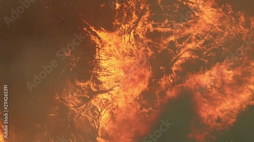fire in the fire