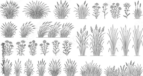 Konstfotografi Minimalist botanical line art icon set featuring various wild grasses flowers an