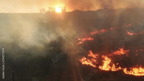 fire in the forest
