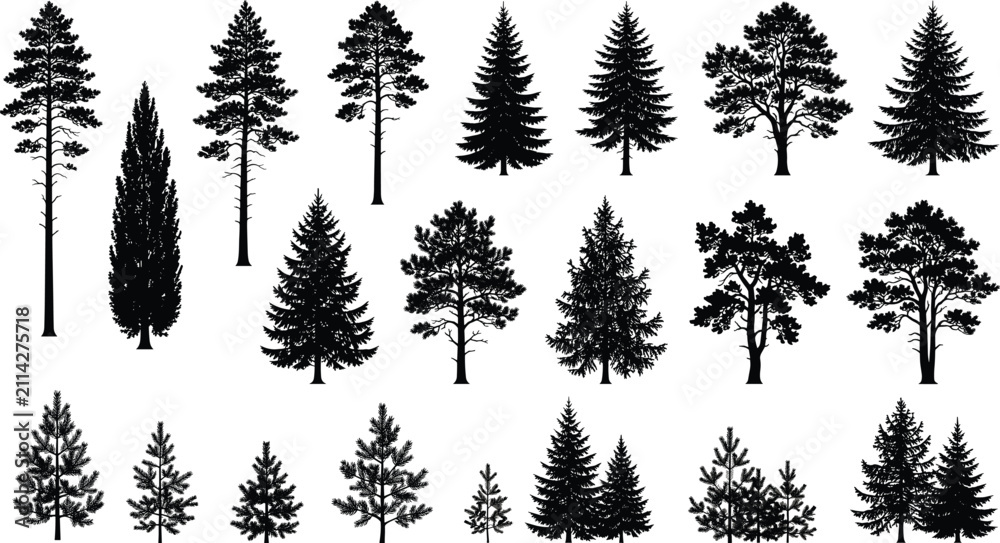 Fototapeta premium Black Silhouette Pine Tree Icon Set with Forest, Fir, and Evergreen Symbols