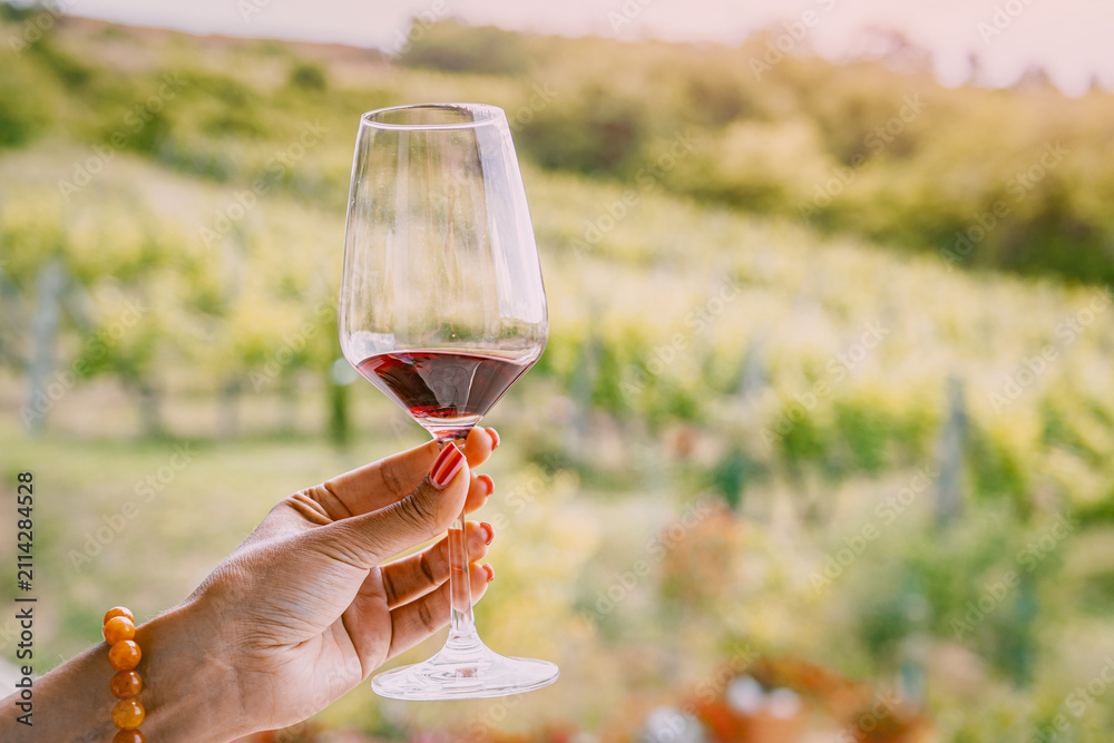 Obraz premium Hand holding a red wine glass against a sunlit vineyard landscape. Tasting tourism concept.