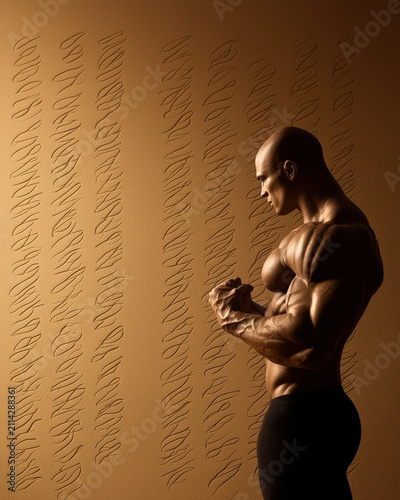 Muscular figure abstract shape bodybuilder silhouette shadow anatomy strength athletic pose warm wall pattern texture calm profile