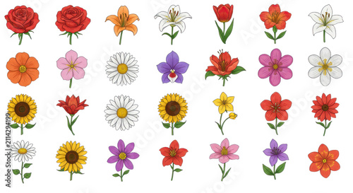Beautiful Spring Flower Blossoms, Colorful Floral Heads, and Garden Plant Icons