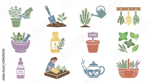 Variety of Potted Plants and Gardening.