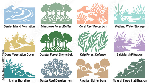 Variety of green leafy plant life.