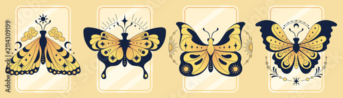 Cuadro en lienzo Magic butterfly and celestial moth illustration with mystic tarot symbols