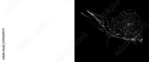 Foto Intricate spider web on black background, delicate white gossamer silk threads,