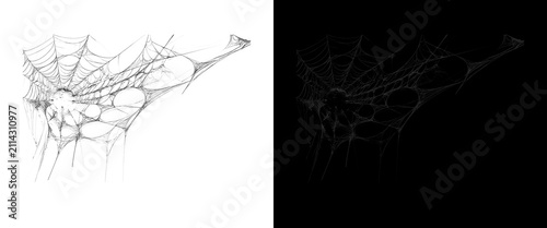 Spooky spider web texture on white and black backgrounds, realistic cobweb overlay for Halloween design, intricate silk spiderweb pattern